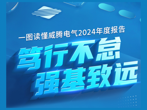 一图读懂龙8头号玩家电气2024年度报告